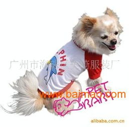 廠家供應新款時尚寵物春夏裝，打造愛寵潮流新風尚