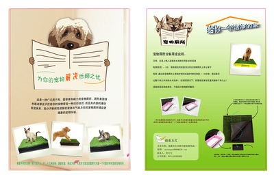 告別異味煩惱 全方位解讀寵物除臭與清潔用品